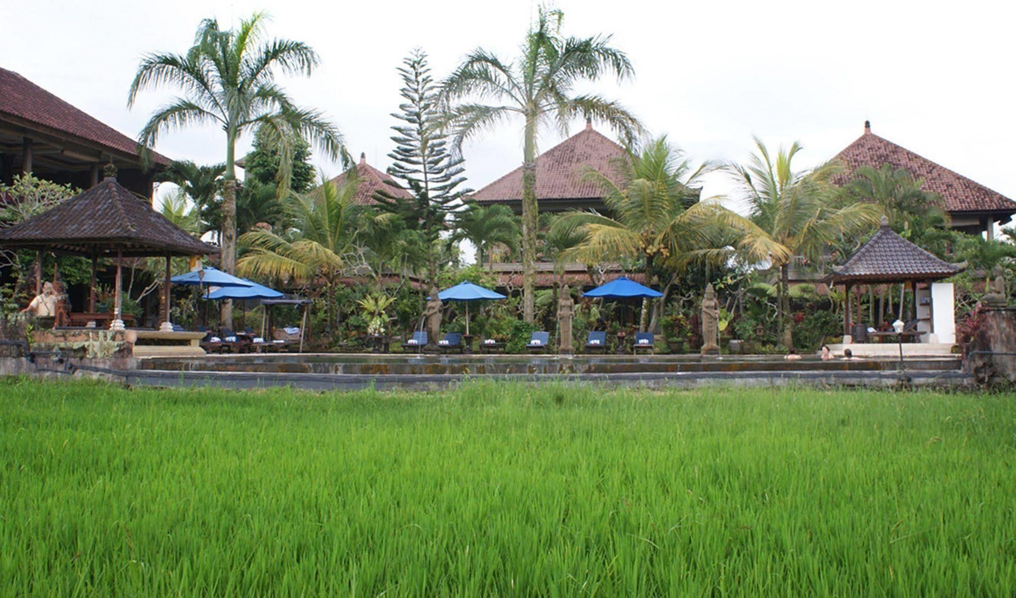 Cendana Resort&spa 3* Ubud