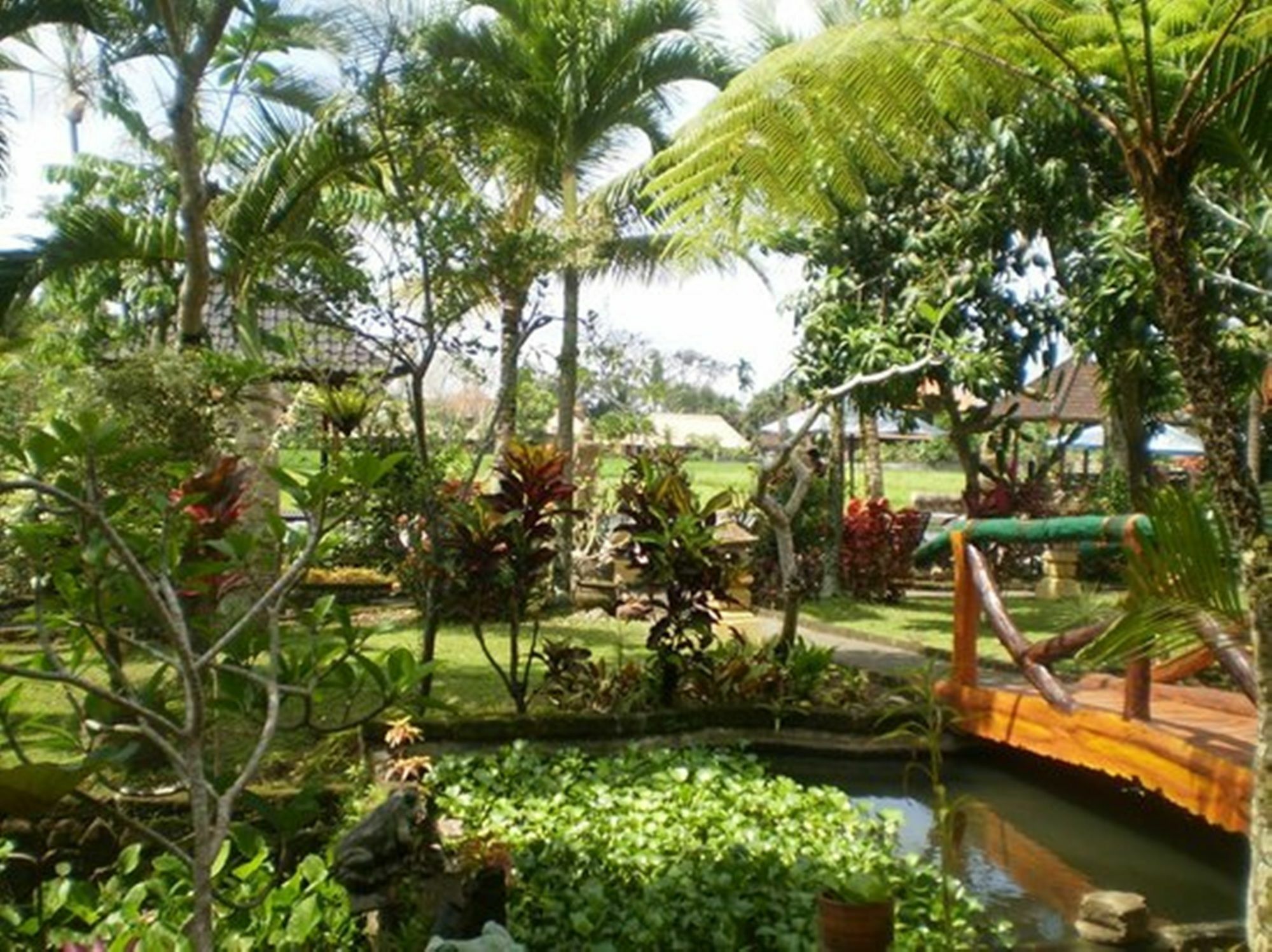 Cendana Resort&spa Hotel 3*